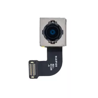 iPhone SE 2020, SE 2022 Hátlapi kamera